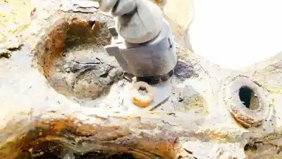 Автозапчасти б/у датчик абс за volkswagen golf v variant (1k5) 1.9 tdi ссылки oem iam   