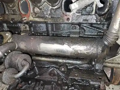 Pezzo di ricambio per auto di seconda mano raffreddatore egr per volkswagen passat cc (357) 2.0 tdi riferimenti oem iam   