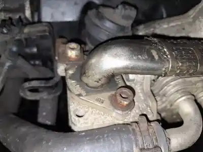 Автозапчасти б/у охладитель рог за skoda octavia combi (1z5) 1.9 tdi dpf ссылки oem iam 03g131063e  