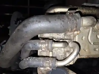 Автозапчасти б/у охладитель рог за skoda octavia combi (1z5) 1.9 tdi dpf ссылки oem iam 03g131063e  