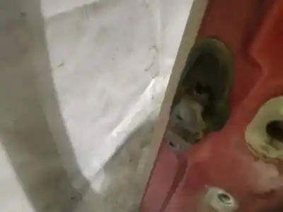 Peça sobressalente para automóvel em segunda mão dobradiça por chrysler pt cruiser (pt) 2.2 crd touring referências oem iam 