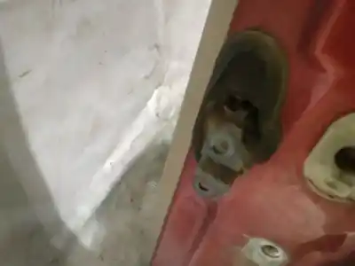 Second-hand car spare part hinge for chrysler pt cruiser (pt) 2.2 crd touring oem iam references   