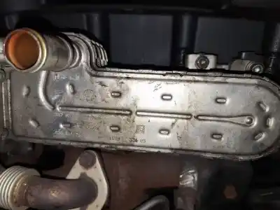 Pièce détachée automobile d'occasion refroidisseur vanne egr pour seat leon (1p1) 2.0 tdi références oem iam 03g131513