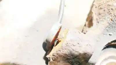 Автозапчастина б/у передній лівий культ для mitsubishi lancer viii (cy_a, cz_a) 2.0 di-d (cy8a) посилання на oem iam    Автозапчастина б/у передній лівий культ для mitsubishi lancer viii (cy_a, cz_a) 2.0 di-d (cy8a) посилання на oem iam