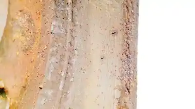 Автозапчастина б/у диск задній гальмовий для mitsubishi lancer viii (cy_a, cz_a) 2.0 di-d (cy8a) посилання на oem iam    Автозапчастина б/у диск задній гальмовий для mitsubishi lancer viii (cy_a, cz_a) 2.0 di-d (cy8a) посилання на oem iam