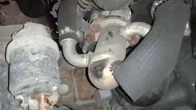 Pezzo di ricambio per auto di seconda mano raffreddatore egr per opel corsa d 1.3 16v cdti riferimenti oem iam   
