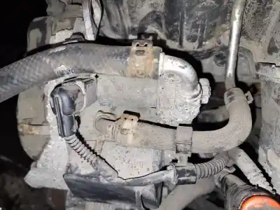 Pezzo di ricambio per auto di seconda mano POMPA DINIEZIONE per SKODA FABIA, II 5J 2010.06 - 2014.06 FACELIFT  Riferimenti OEM IAM 03L130755E  