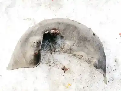 Peça sobressalente para automóvel em segunda mão cave de roda traseira esquerda por volvo xc90 2.9 bi-turbo cat referências oem iam 