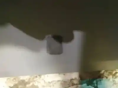 Peça sobressalente para automóvel em segunda mão plásticos por ford galaxy (vx) 1.9 tdi cat referências oem iam 