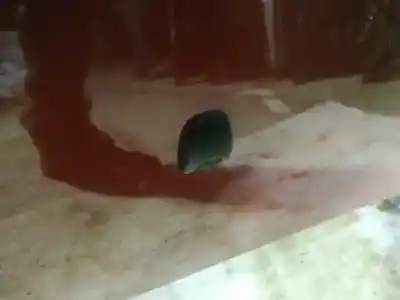 Pezzo di ricambio per auto di seconda mano plastica per fiat bravo (198) 1.9 dynamic multijet riferimenti oem iam   