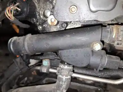 Автозапчасти б/у термостат за volkswagen passat variant (3c5) 1.9 tdi ссылки oem iam 038121132d