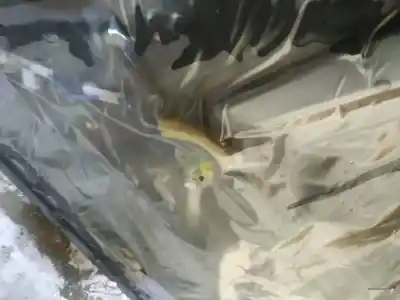 Pezzo di ricambio per auto di seconda mano alzacristalli anteriore destro per toyota corolla verso (r1) 2.2 d-4d sol riferimenti oem iam 