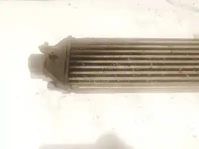 Peça sobressalente para automóvel em segunda mão intercooler por fiat bravo (198) 1.9 dynamic multijet referências oem iam   