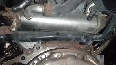 Piesă de schimb auto la mâna a doua rãcitor gaze egr pentru kia ceed sportswagon (ed) 1.6 active referințe oem iam 284162a770