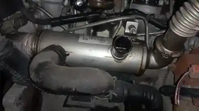 Автозапчасти б/у охладитель рог за mazda 2 lim. (de) 1.4 diesel cat ссылки oem iam 9651902380  vp1u3h-9p445-af Автозапчасти б/у охладитель рог за mazda 2 lim. (de) 1.4 diesel cat ссылки oem iam 9651902380  vp1u3h-9p445-af