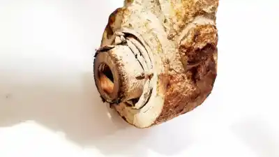 Автозапчастина б/у культ заднього правого для skoda octavia combi (1z5) 2.0 tdi посилання на oem iam 1k0436p  