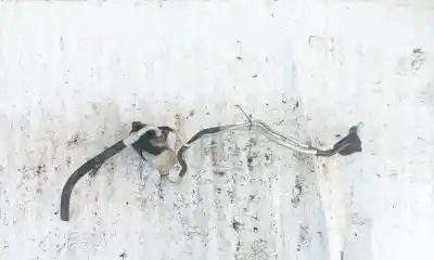 Автозапчастина б/у випарник кондиционера для AUDI A6, C5 1997.01 - 2001.08 2.4 121KW 1997.02 - 2005.01 Посилання на OEM IAM 4B0260197  