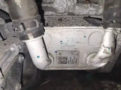 Peça sobressalente para automóvel em segunda mão radiador de óleo do motor por renault clio, 2012.11 - 2016 0.9 tce 90 66kw 2012.11 --> referências oem iam 213052082r