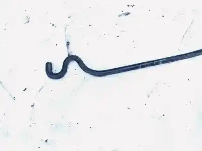 Pezzo di ricambio per auto di seconda mano pezzi vari per seat altea (5p1) 2.0 tdi riferimenti oem iam   