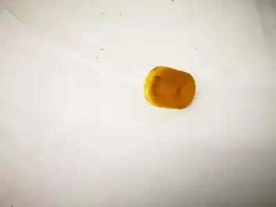 Peça sobressalente para automóvel em segunda mão depósito do limpa vidros por renault scenic ii 1.6 16v referências oem iam 7700352947  