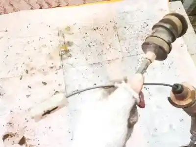 Pezzo di ricambio per auto di seconda mano pezzi vari per citroen evasion 1.9 td sx riferimenti oem iam   