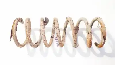 Second-hand car spare part shock absorber spring for ford mondeo iv 1.8 tdci oem iam references 