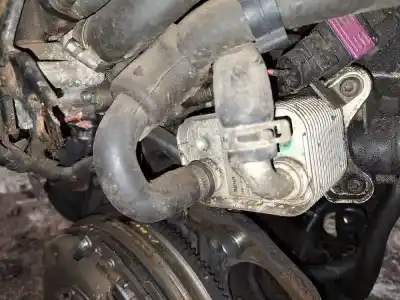 Pezzo di ricambio per auto di seconda mano radiatore olio motore per opel meriva b 1.7 16v cdti riferimenti oem iam 8973235440