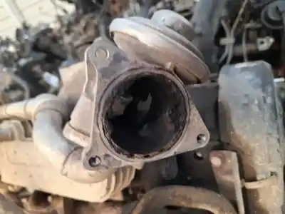 Recambio de automóvil de segunda mano de válvula egr para volkswagen touran (1t1) 1.9 tdi referencias oem iam 038131501an  129812064