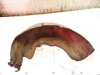 Pezzo di ricambio per auto di seconda mano passaruota posteriore sinistra per toyota avensis wagon (t25) 2.0 d-4d executive riferimenti oem iam 