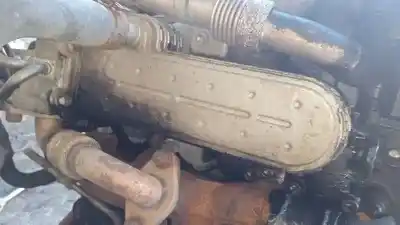 Автозапчасти б/у охладитель рог за volkswagen golf v variant (1k5) 1.9 tdi ссылки oem iam 038131513ad  03g131063e