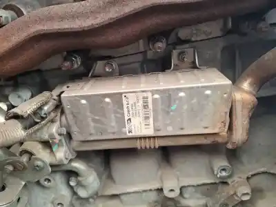 Peça sobressalente para automóvel em segunda mão radiador de gases de escape (egr) por skoda octavia ii combi (1z5) 1.6 tdi 4x4 referências oem iam 256010r020