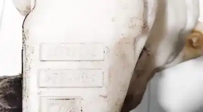 Second-hand car spare part windscreen washer bottle for bmw 3 (e30) m3 2.3 oem iam references 55702892  