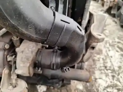 Peça sobressalente para automóvel em segunda mão tubo do intercooler por volkswagen golf iv (1j1) 1.9 tdi referências oem iam px0446037