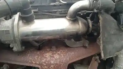 Pezzo di ricambio per auto di seconda mano Raffreddatore Egr per CITROEN C5, II 2008.02 - 2011.01 2.0 HDI 103KW 2009.04 - 2011.01 Riferimenti OEM IAM   