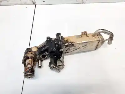Pezzo di ricambio per auto di seconda mano raffreddatore egr per audi q3 (8u) 2.0 tdi (103kw) advance riferimenti oem iam 03l131512c