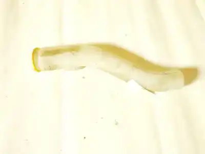 Автозапчасти б/у чистый депозит за bmw 3 (e30) m3 2.3 ссылки oem iam 