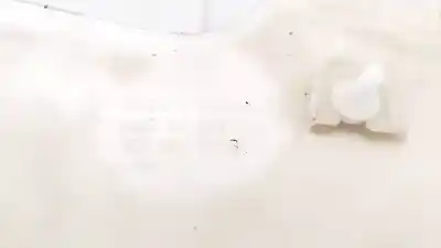 Second-hand car spare part plastics for volkswagen passat variant (3c5) 1.9 tdi oem iam references 3c9867245b  