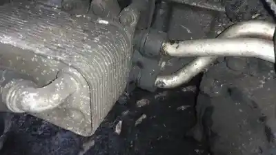 Pezzo di ricambio per auto di seconda mano radiatore olio motore per bmw x3 (e83) 3.0 turbodiesel cat riferimenti oem iam   