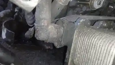 Pezzo di ricambio per auto di seconda mano radiatore olio motore per bmw x3 (e83) 3.0 turbodiesel cat riferimenti oem iam   