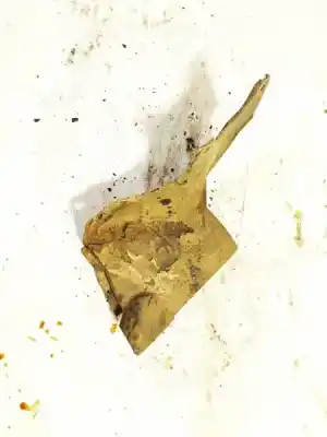 Автозапчастина б/у пластикler для audi a6, c5 2001.08 - 2005.01 facelift 2.5 tdi 114kw 2001.08 - 2005.01 посилання на oem iam 8d0121264