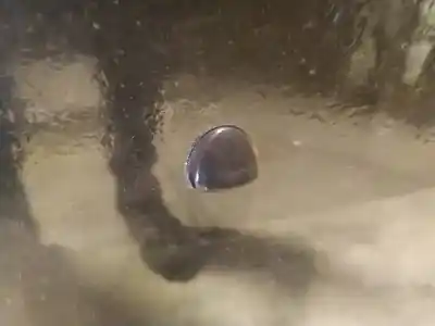 Peça sobressalente para automóvel em segunda mão plásticos por fiat stilo, 2001.10 - 2007.01 2.4 20v 125kw 2001.10 - 2006.11 referências oem iam 