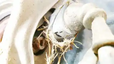 Peça sobressalente para automóvel em segunda mão sensor abs por volkswagen passat b6 (3c2) 2.0 tdi referências oem iam   