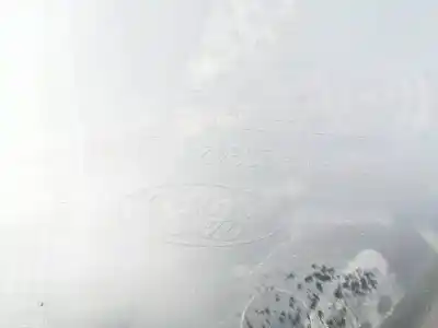 Pezzo di ricambio per auto di seconda mano rivestimento porta anteriore destro per ford focus lim. (cb8) 1.6 tdci cat riferimenti oem iam bm51a2394201  bm51-a23942-01