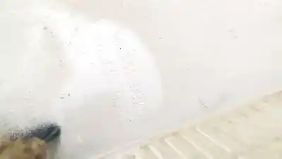 Pezzo di ricambio per auto di seconda mano plastica per bmw 3 (e30) m3 2.3 riferimenti oem iam 13130028  