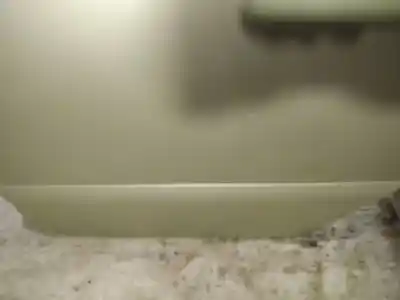 Pezzo di ricambio per auto di seconda mano  per BMW 3 (E30)  Riferimenti OEM IAM   