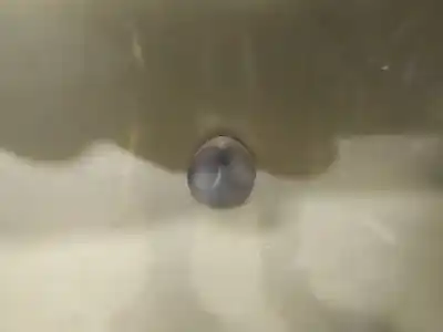 Автозапчасти б/у пластик за saab 9-5 (ys3e) 2.3 t ссылки oem iam 