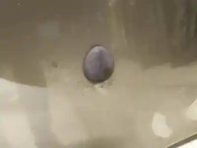 Автозапчасти б/у пластик за saab 9-5 (ys3e) 2.3 t ссылки oem iam   