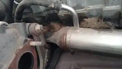 Pezzo di ricambio per auto di seconda mano raffreddatore egr per toyota corolla (e12) 2.0 d-4d sol berlina riferimenti oem iam   