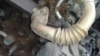 Pezzo di ricambio per auto di seconda mano raffreddatore egr per toyota corolla (e12) 2.0 d-4d sol berlina riferimenti oem iam   