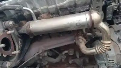 Pezzo di ricambio per auto di seconda mano raffreddatore egr per toyota corolla (e12) 2.0 d-4d sol berlina riferimenti oem iam 